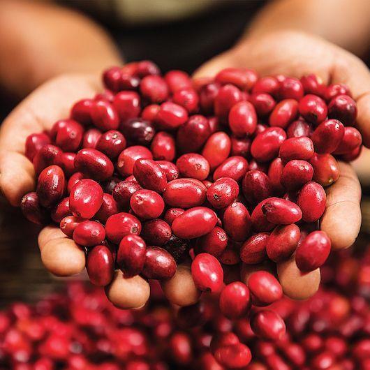 Product gallery 431877768