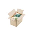 Big Train Dragonfly Green Tea Blended Creme Frappe Mix, 3.5 Pound -- 4 per case.