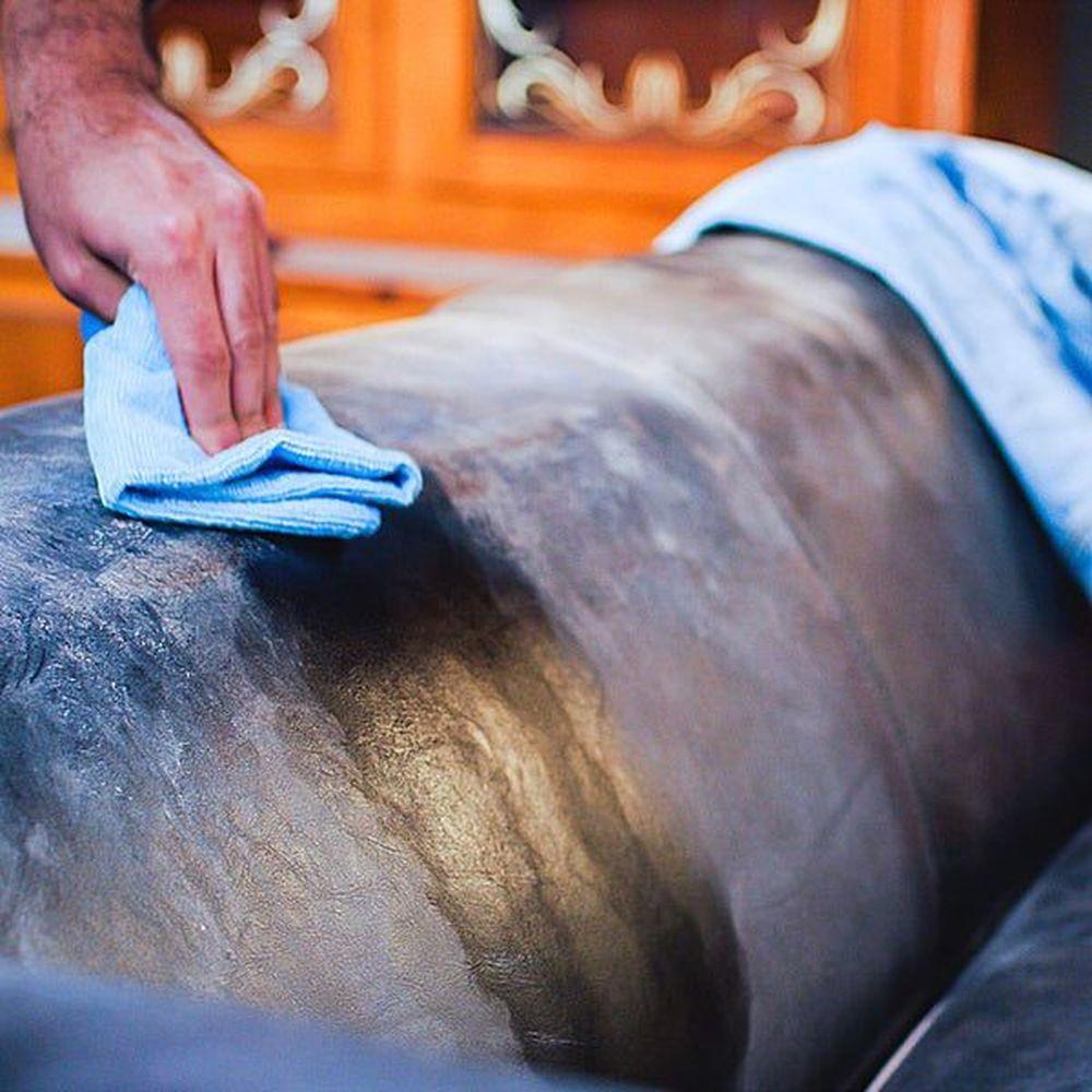 Product gallery 4169056