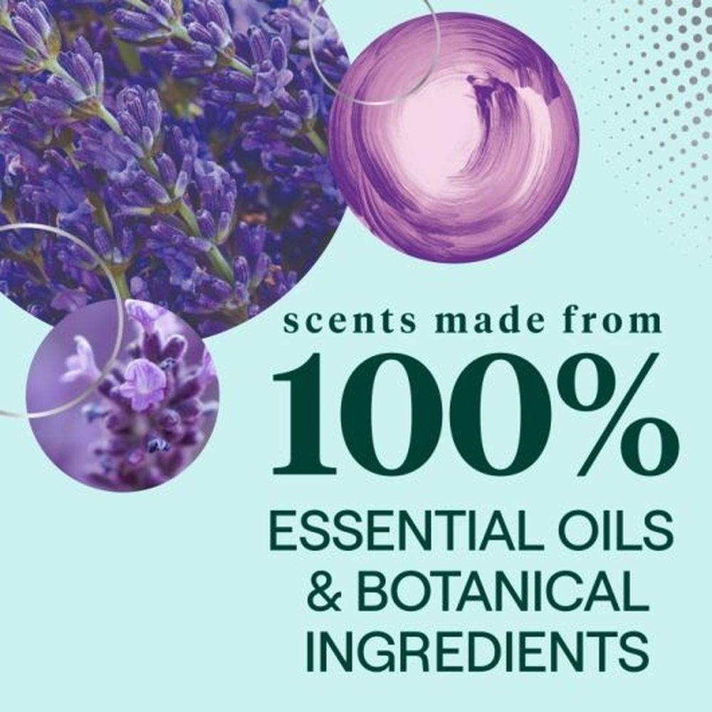 Product gallery 4210363