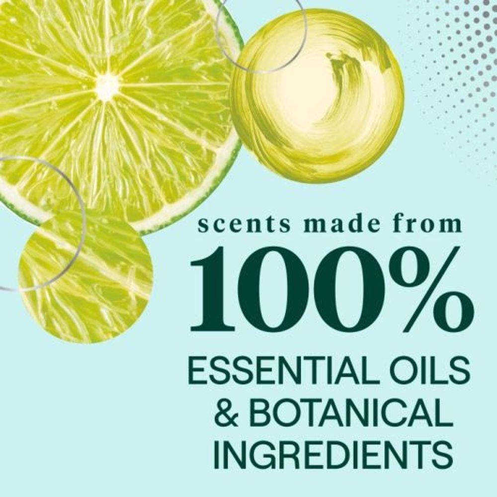 Product gallery 3850724