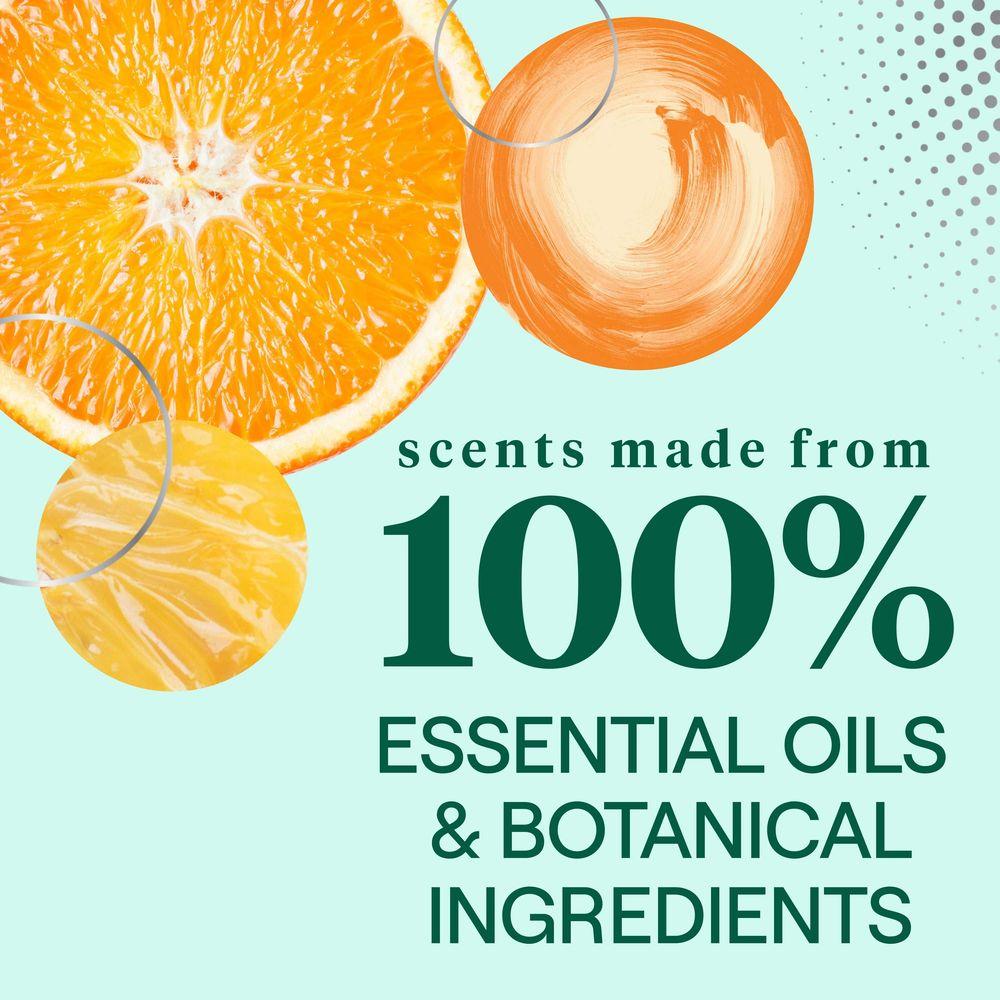 Product gallery 6280737