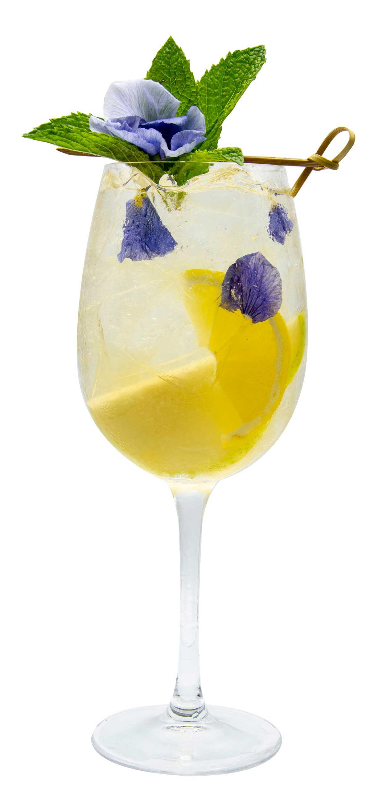 Product gallery 1910626