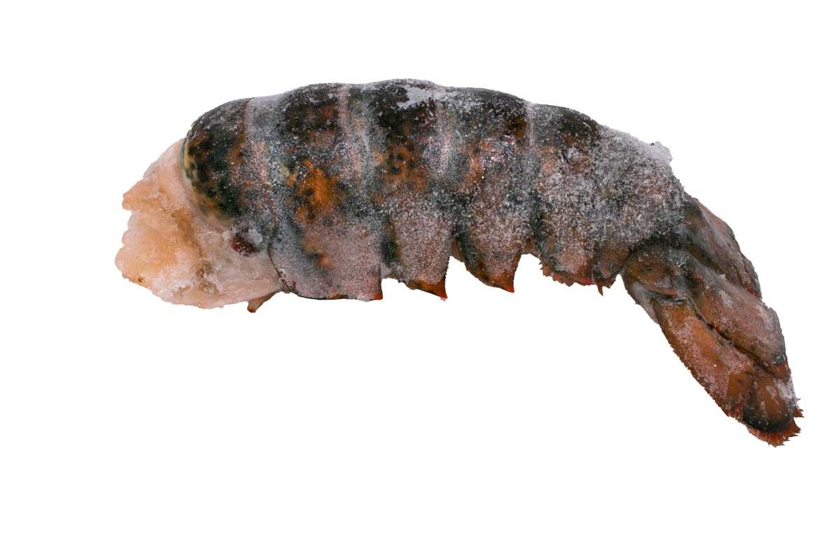 Product gallery 3562136