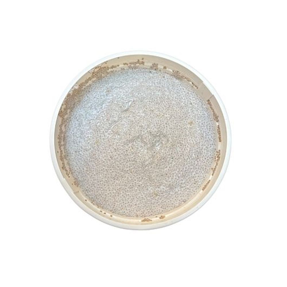 Sweet Street Scoopables Chia Pudding, 6.38 Pound - 3 per case