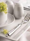 Syracuse China Lunar White Universal Salt Shaker, 2.75 inch -- 36 per case.