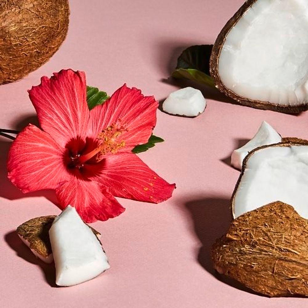 Product gallery 213508547