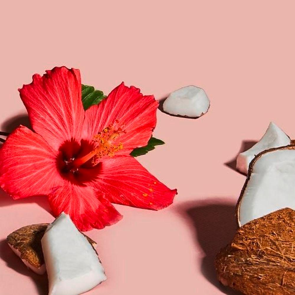 Product gallery 4225021