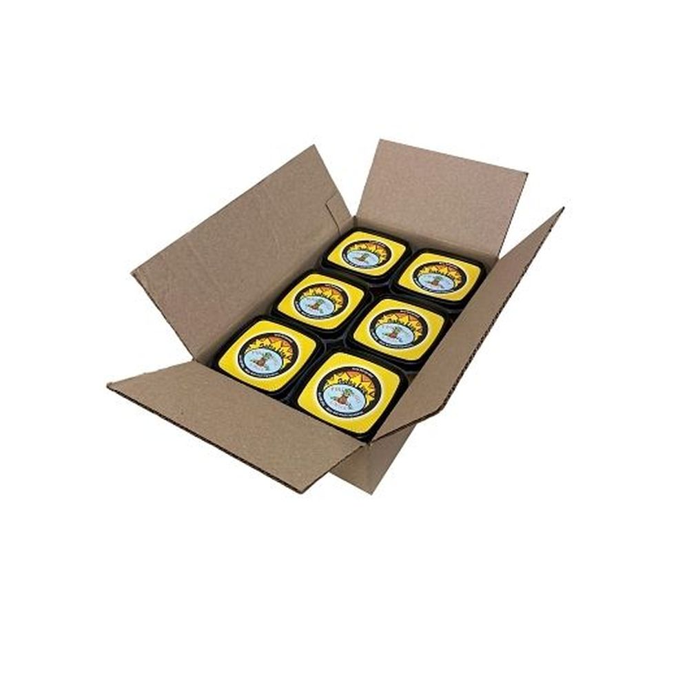 Salsa Lisa Pineapple Ginger Mild Fresh Salsa, 16 Ounce - 6 per case