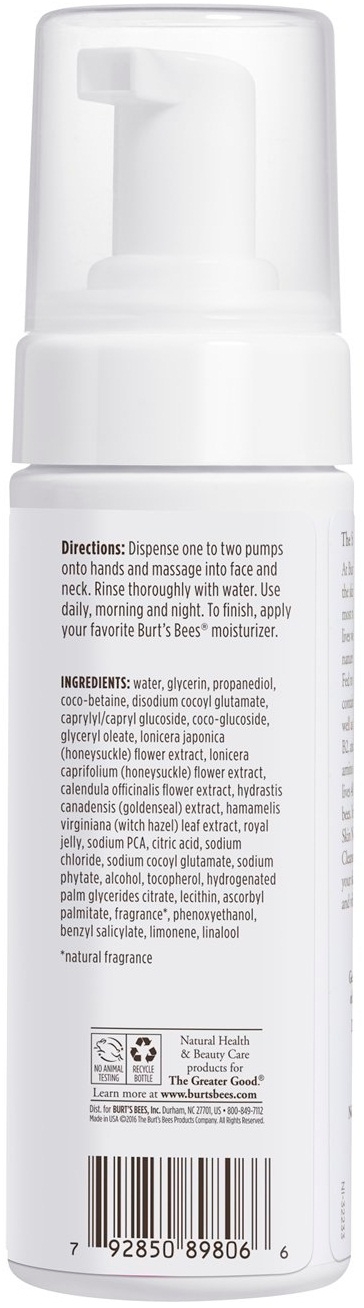 Burts Bees Skin Nourishment Gentle Foaming Cleanser, 4.8 Ounce -- 12 per case