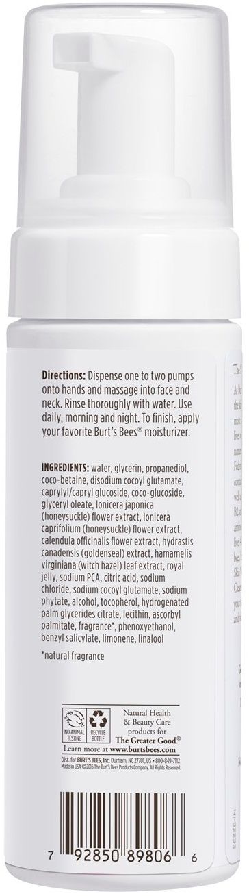 Burt's Bees Skin Nourishment Gentle Foaming Cleanser, 4.8 Ounce -- 12 Per Case