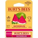 Burts Bees Watermelon Moisturizing Lip Balm, 0.15 Ounce -- 48 per case
