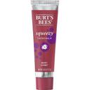 Burts Bees Squeezy Wax Berry Sorbet Tinted Lip Balm, 0.43 Ounce -- 36 per case