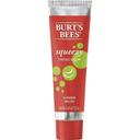 Burts Bees Squeezy Wax Summer Melon Tinted Lip Balm, 0.43 Ounce -- 36 per case