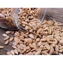 Sunrich 16 Ounce Roasted and Salted Premium Sunflower Kernels, 12 count