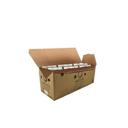 Barfresh Caramel Macchiato Frappe, 11.1 Ounce Packet -- 24 per case