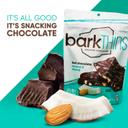 Bark Thins Dark Chocolate Coconut with Almonds - Regular Pouch, 4.7 Ounce -- 12 per case