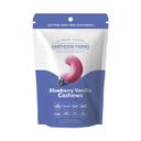 Earthside Farms Blueberry Vanilla Cashews, 4 Ounce -- 10 per case