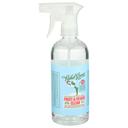 Rebel Green Fruit and Veggie Cleaner, 17 Ounce Spray -- 12 per case