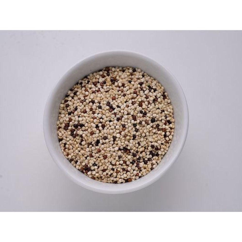 Product gallery 42710707