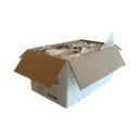 Donna Italia Four Cheese Pizza -- 28 per case