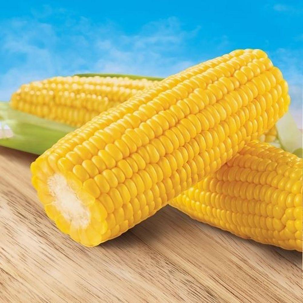 Product gallery 936981841