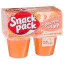 Snack Pack Orange Snacks, 3.5 Ounce -- 12 per case