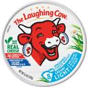 Laughing Cow 2 Variety Spreadable Cheese Wedges - Shipper, 48 count
