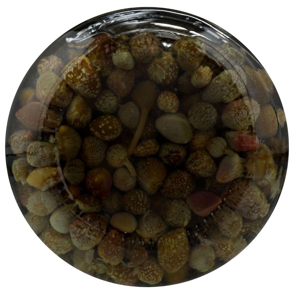 Product gallery 4603525