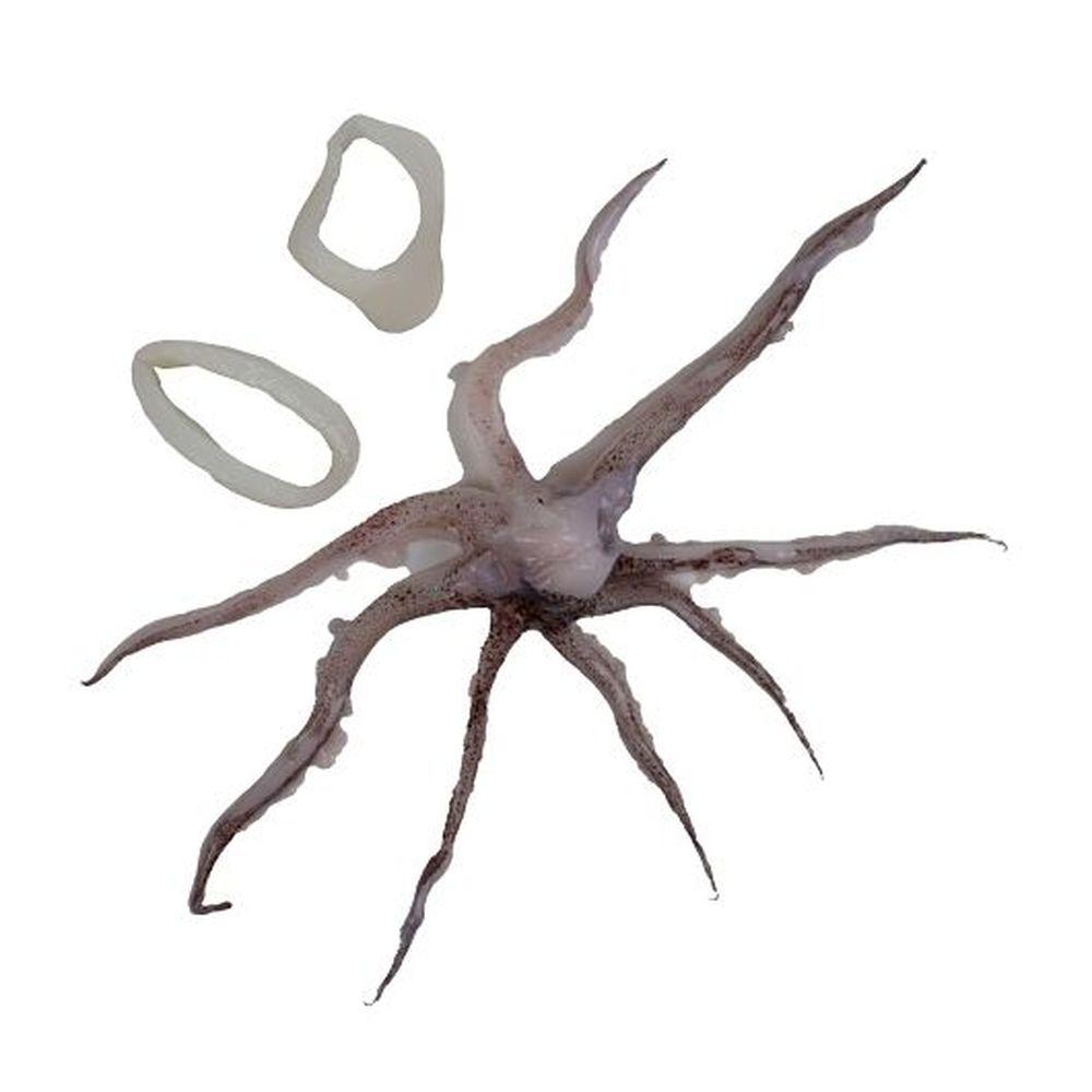 Product gallery 964702284