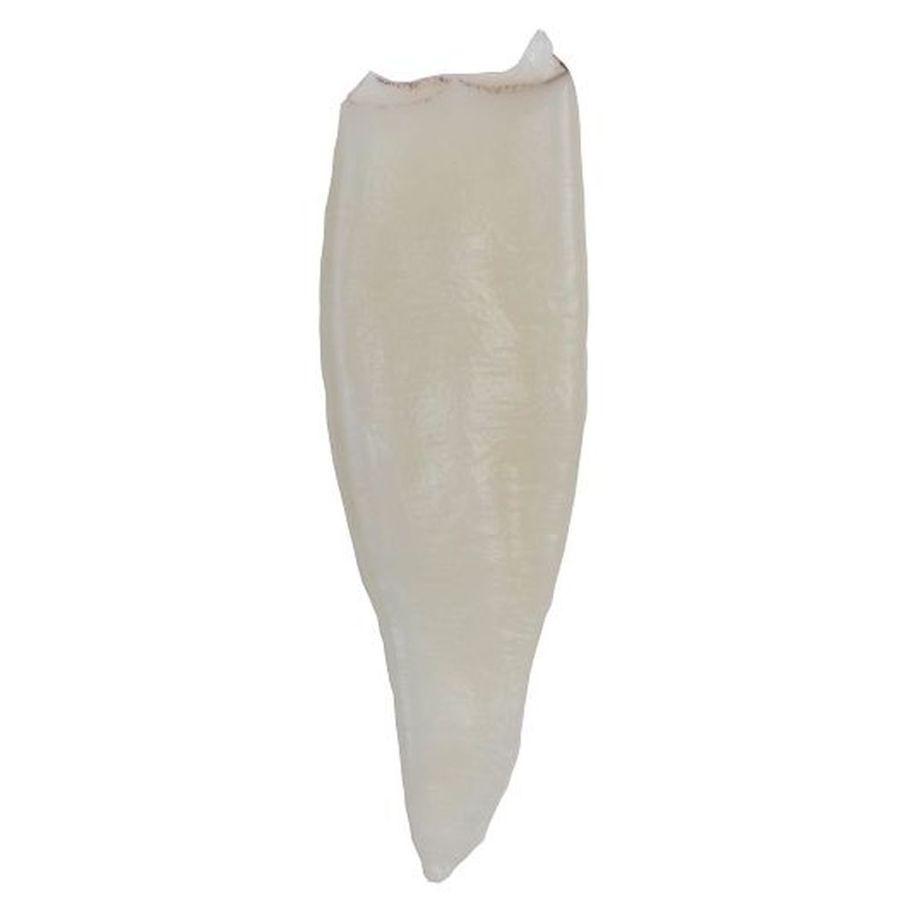 Panapesca Fully Cleaned Calamari, 2.5 Pound Tube -- 4 per case