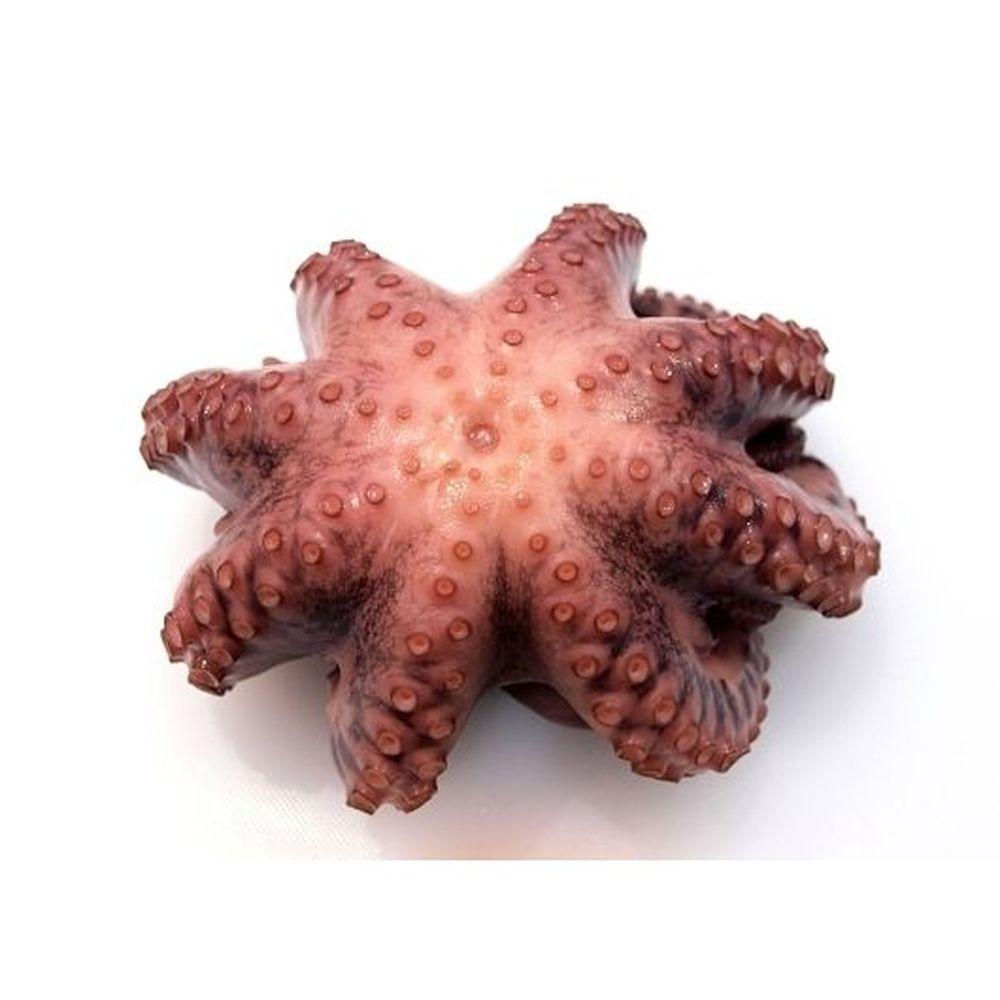 Product gallery 417721624