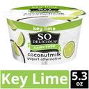 So Delicious Organic Coconut Key Lime Yogurt Alternative, 5.3 Ounce -- 12 per case