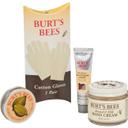 Burts Bees Hand Repair Kit -- 24 per case