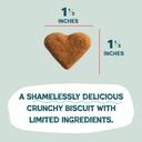 Shameless Pets Bacon It Easy Crunchy Dog Treats, 12 Ounce -- 6 per case