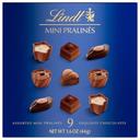 Lindt Mini Pralines Assorted Chocolate Candy Gift, 1.55 Ounce Box - 10 per case