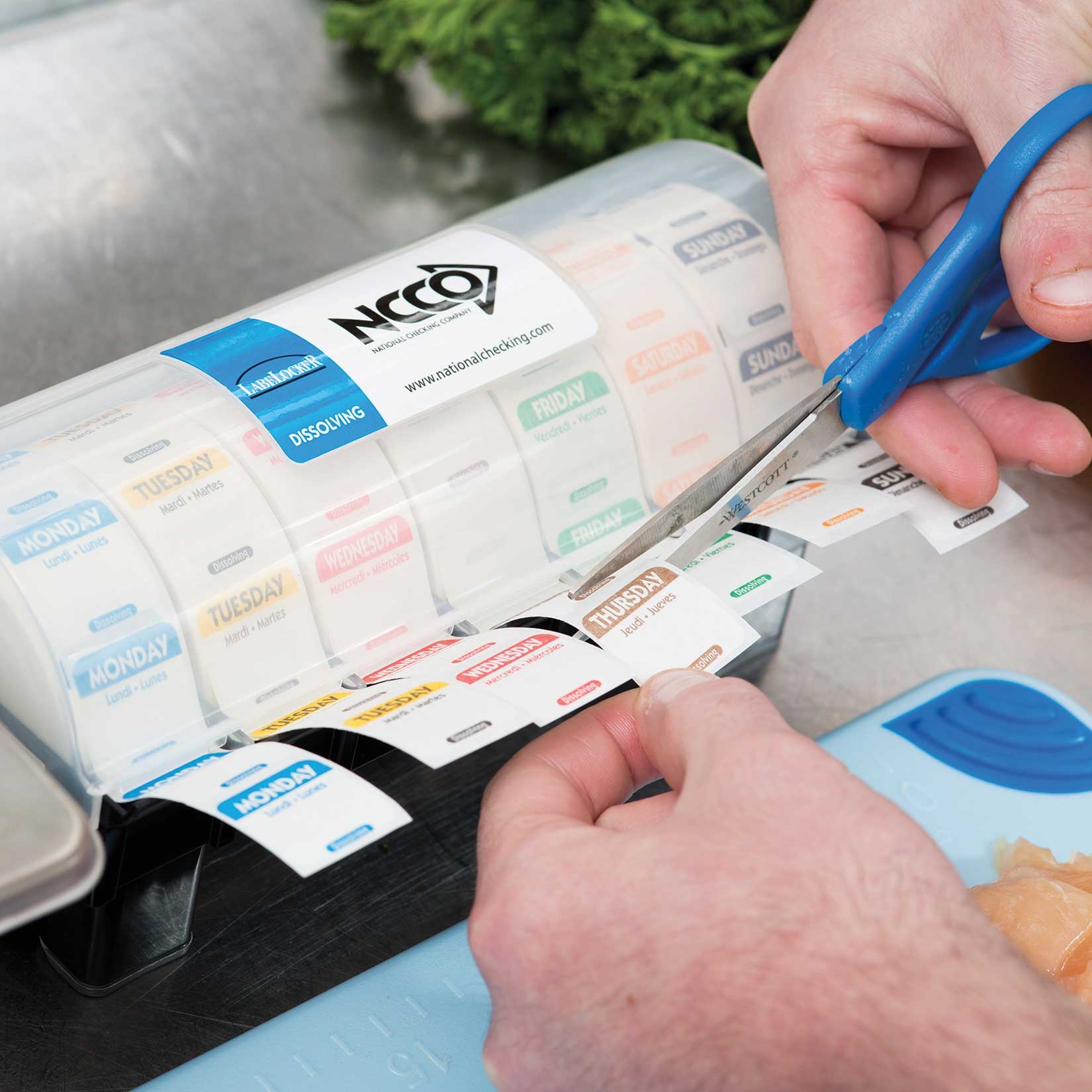 National Checking Company Kit, Refill Labels: D101 - D107.