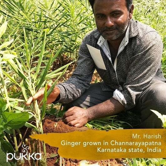 Product gallery 3080007