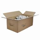 Coffee Shoppe Two Shot Mocha Cappuccino, 2 Pound -- 6 per case