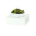 Cal-Mil Juno Durable White Metal Cube Riser, 14 inch Width x 14 inch Depth x 6 inch Height