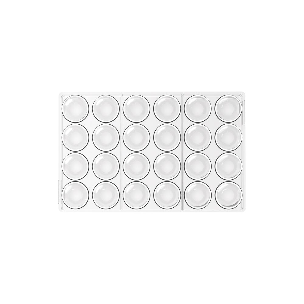 Silikomart Kit Semisfera 02 Number 24 Tritan and Silicone Mold, 1.37 x 0.71 inch