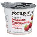 Forager Organic Dairy Free Strawberry Cashewmilk Yogurt, 5.3 Ounce -- 6 per case
