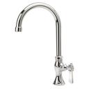 Krowne Silver Series Single Hole Deck Mount Pantry Faucet with 6 inch Wide Gooseneck Spout