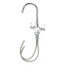 Krowne Royal Series Single Hole Deck Mount Pantry Faucet with 6 inch Wide Gooseneck Spout