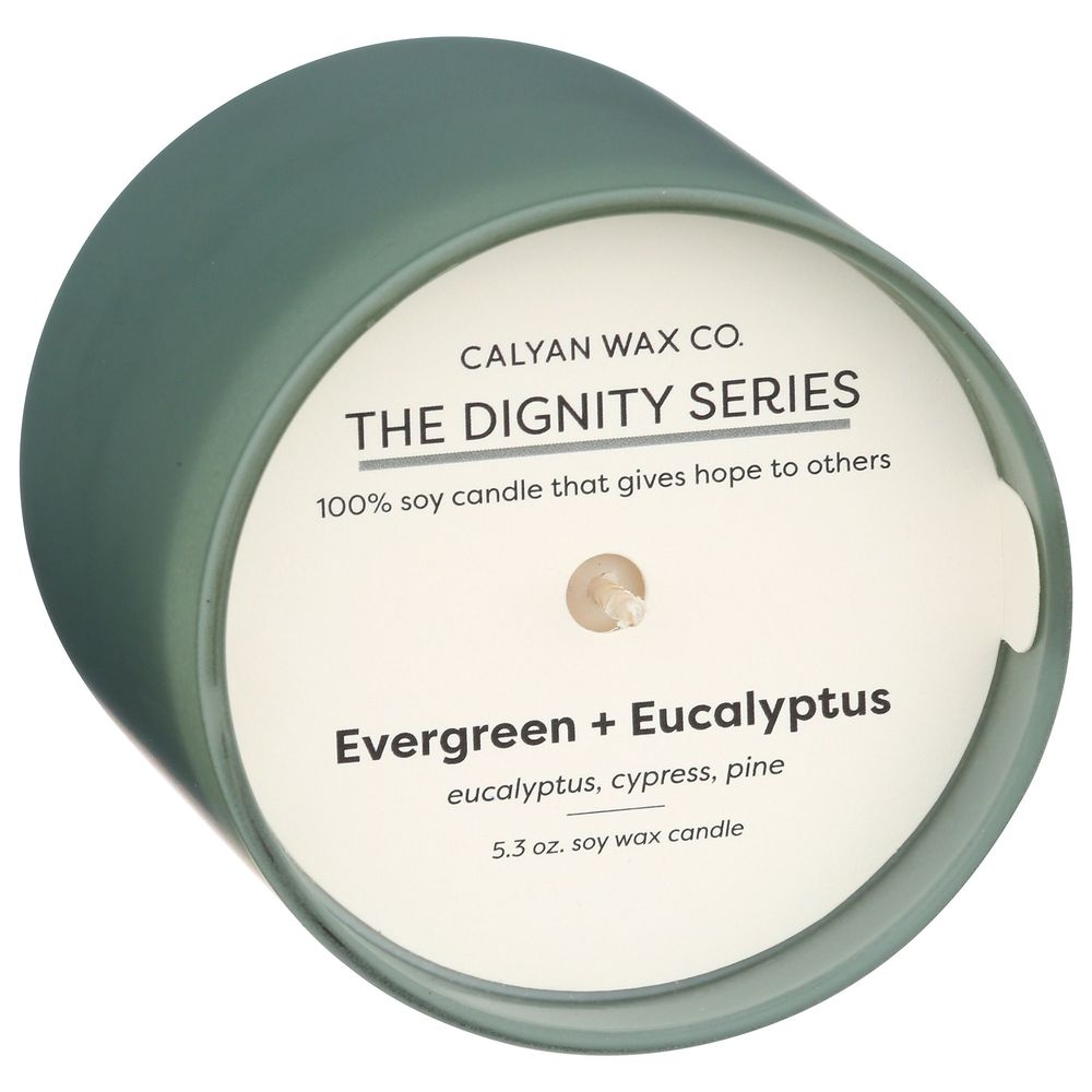 Calyan Wax Evergreen Plus Eucalyptus Soy Candle, 5.3 Ounce -- 6 per case