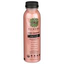 Remedy Organics Berry Immunity Protein Shake, 12 Fluid Ounce -- 6 per case