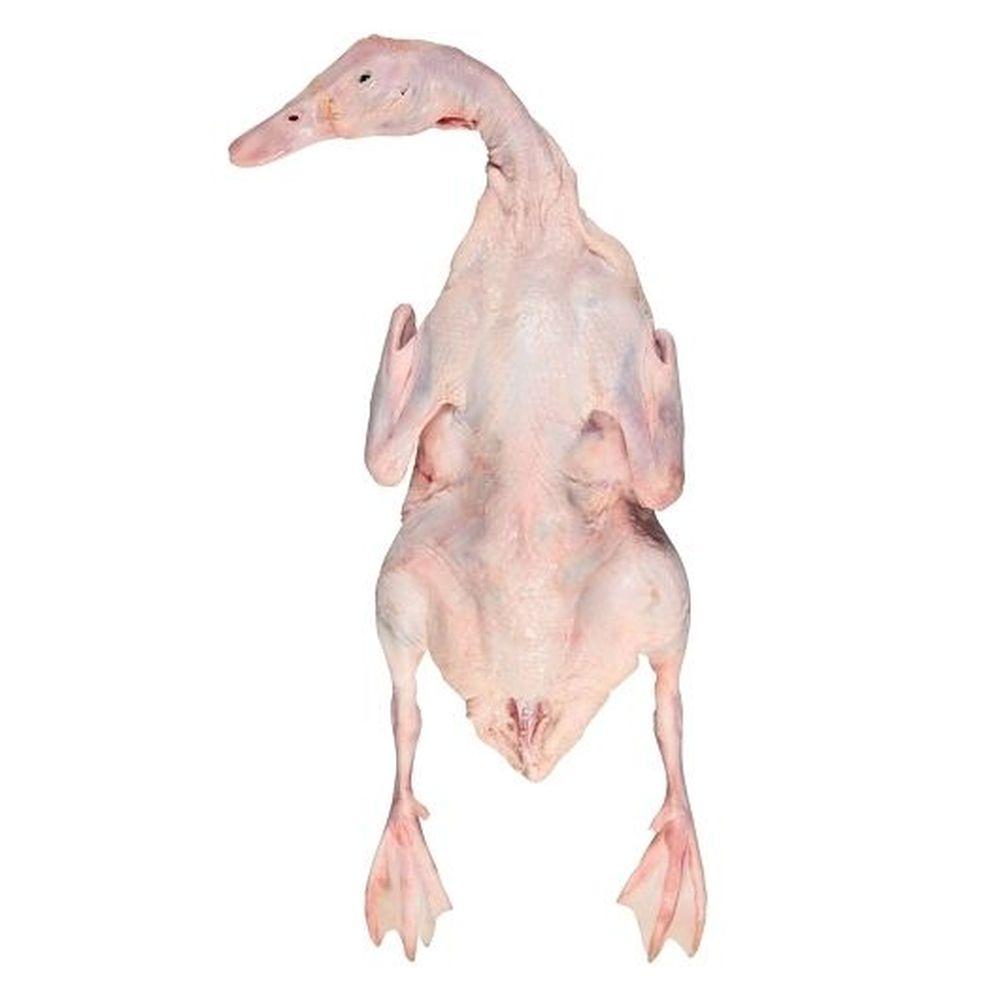 Product gallery 3857123