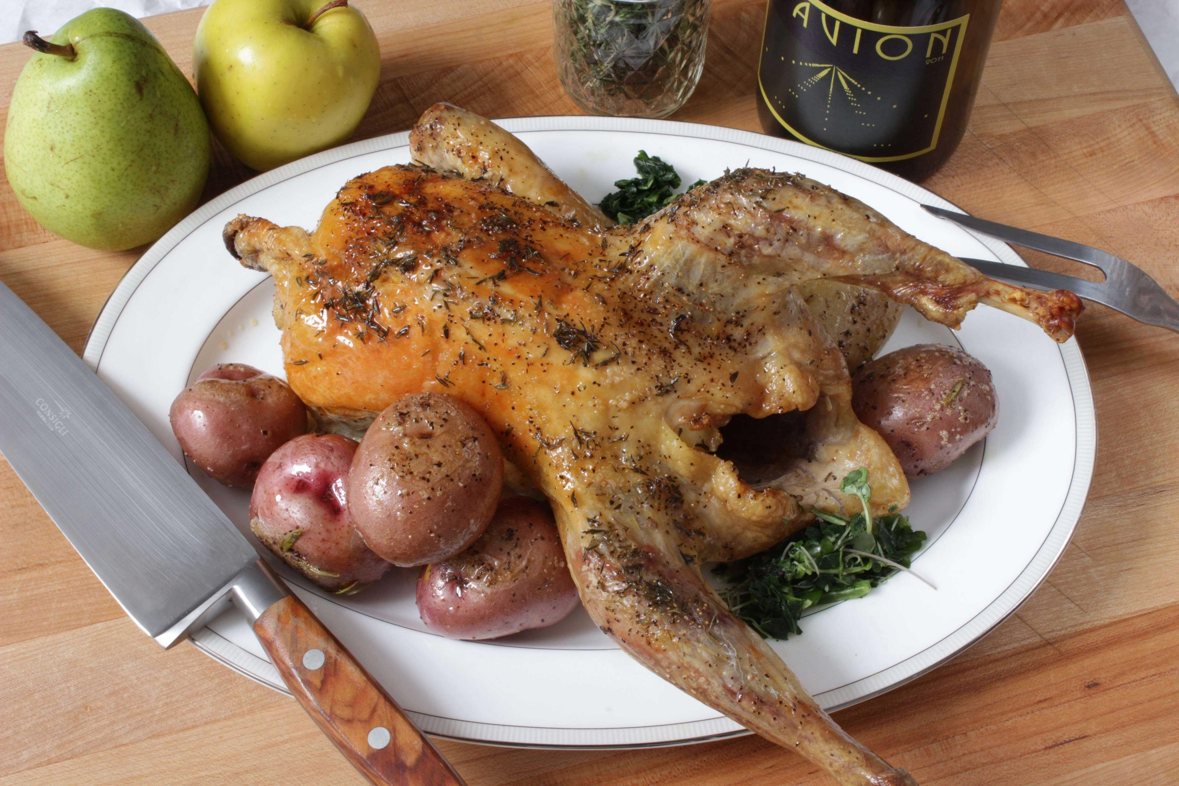 Product gallery 1904580