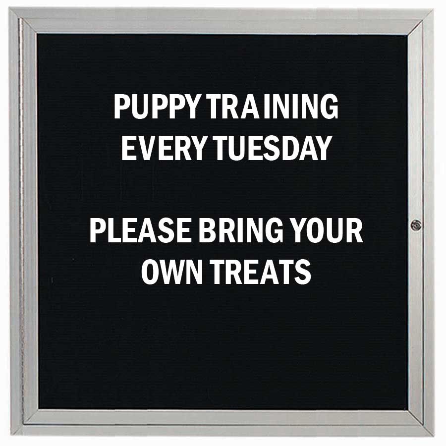 Aarco Indoor Enclosed Aluminum Framed Changeable Letter Board Directory Cabinet, 36 x 36 inch