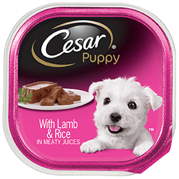 Cesar Puppy Canine Cuisine with Lamb and Rice Dog Food, 3.5 Ounce -- 24 per case.